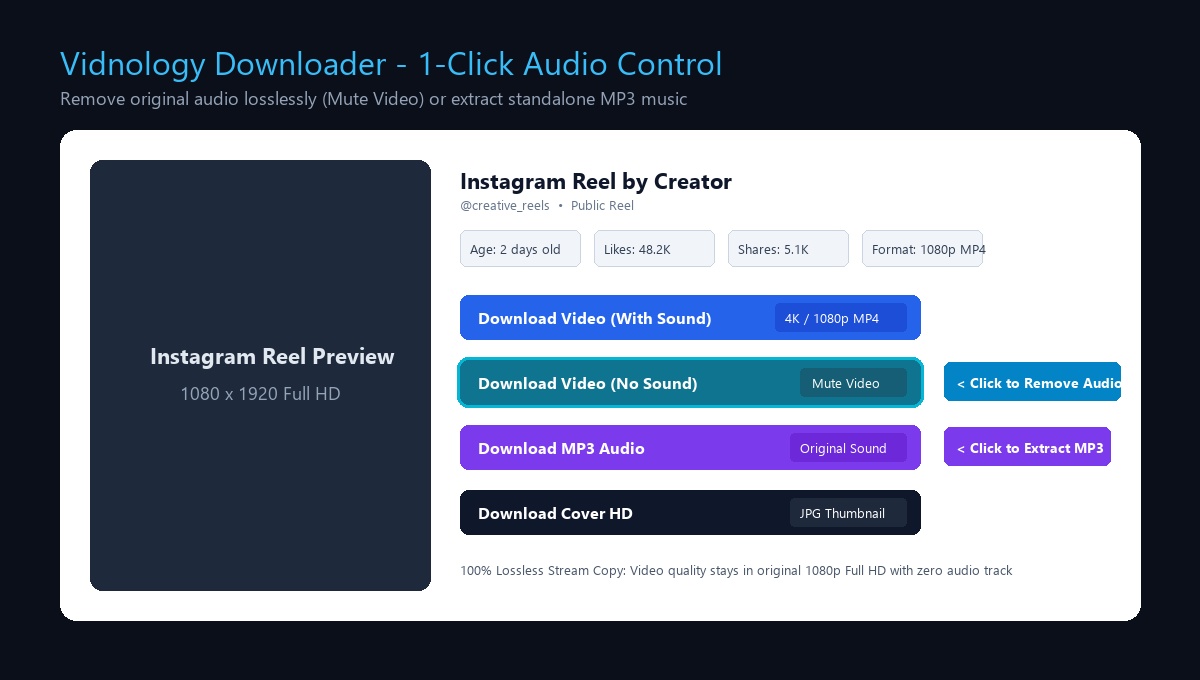 Vidnology Download Video No Sound and Download MP3 Audio Options